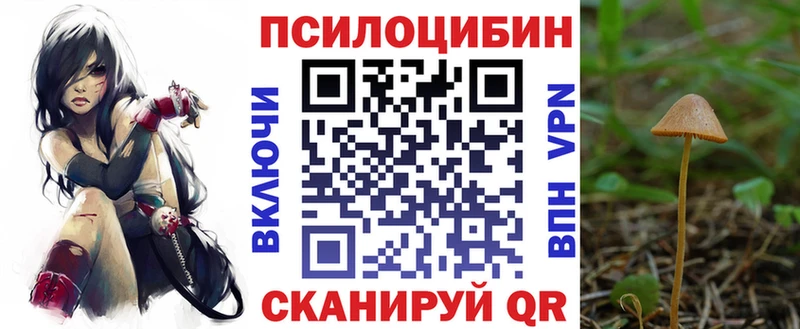 площадка официальный сайт  где продают наркотики  Называевск  Галлюциногенные грибы MAGIC MUSHROOMS 